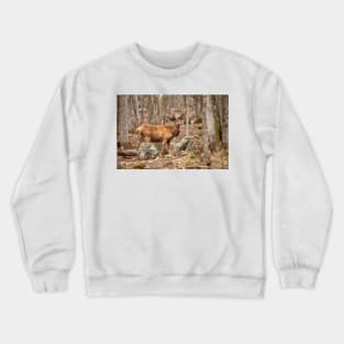 Red Deer Crewneck Sweatshirt